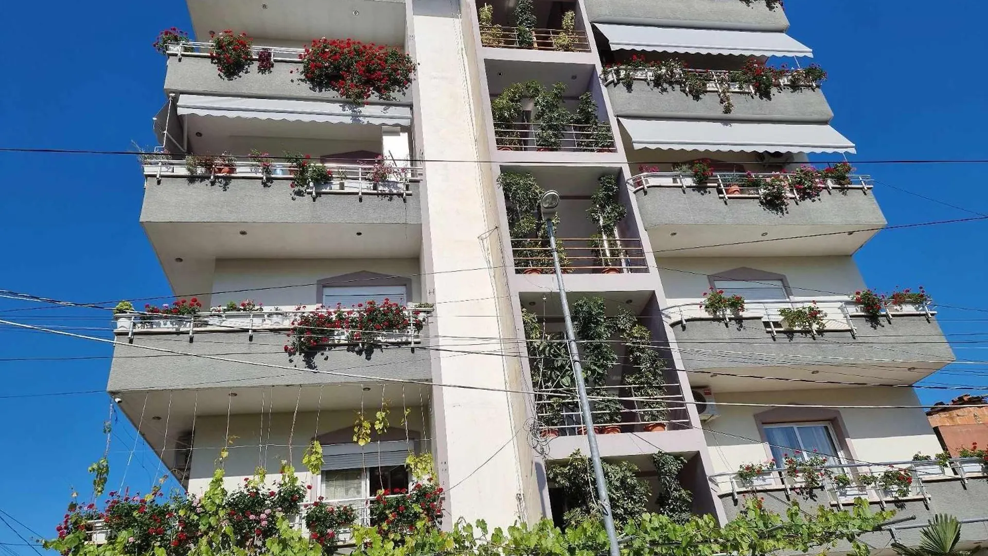 Nasi Apartament Tirana